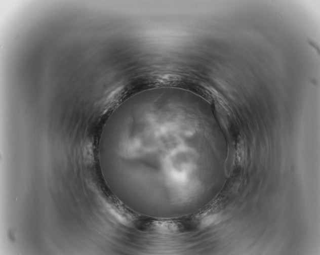 X0000095110520200712141155