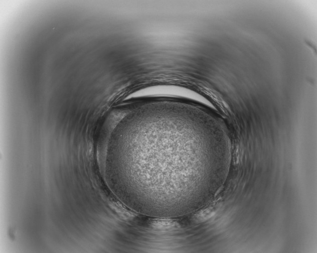 X0000095110521200712141155