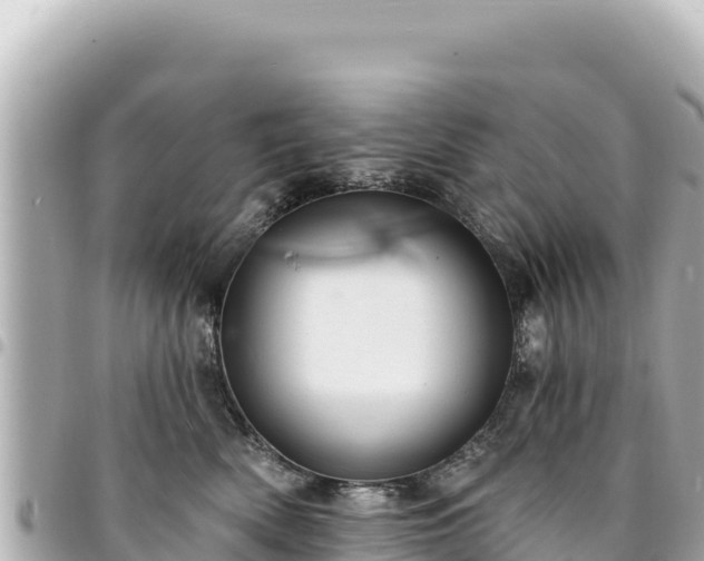 X0000095110522200712141155