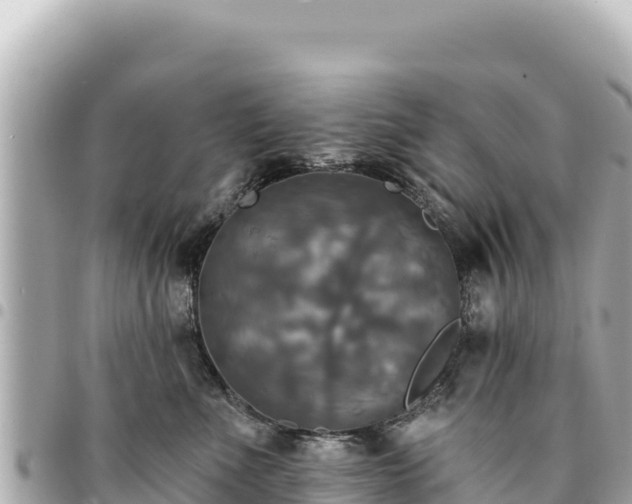 X0000095110523200712141155