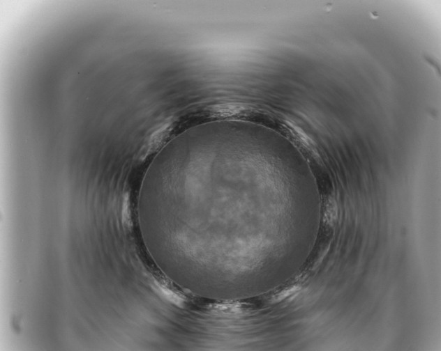 X0000095110524200712141155