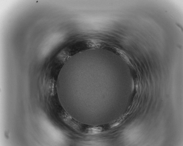 X0000095110525200712141155