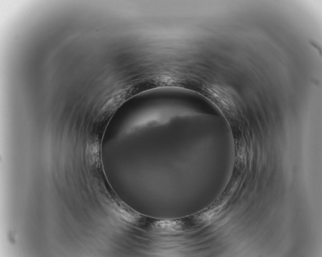 X0000095110526200712141155