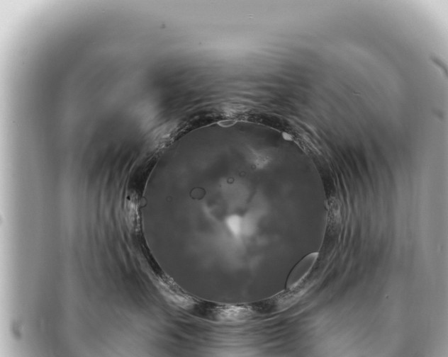 X0000095110527200712141155