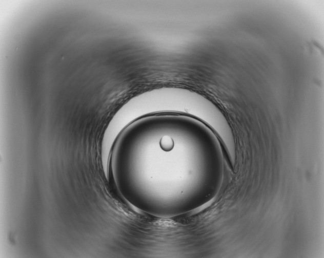 X0000095110528200712141155