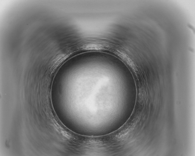 X0000095110529200712141154