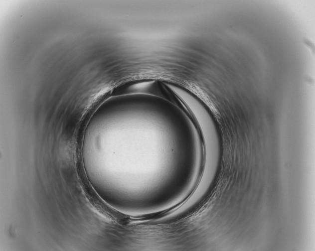 X0000095110530200712141154