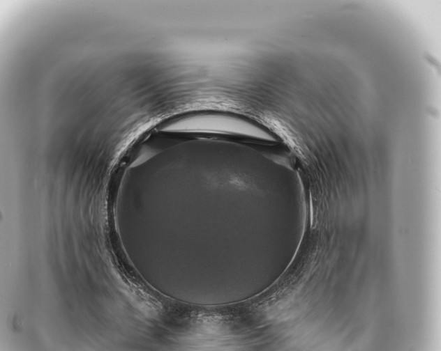 X0000095110531200712141154