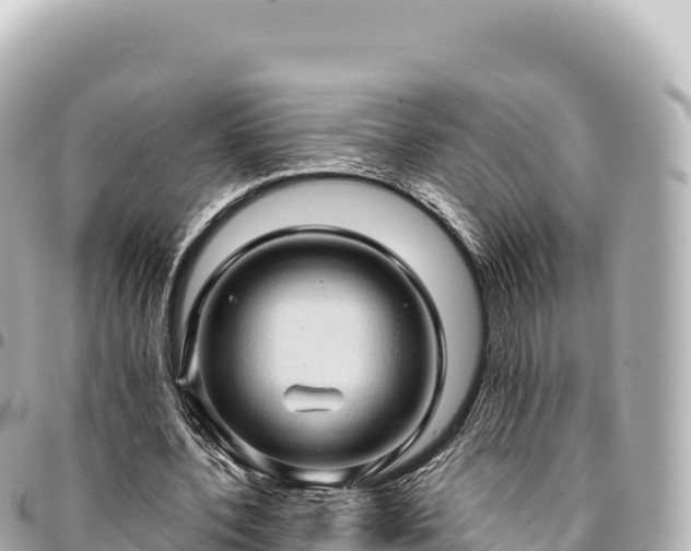 X0000095110532200712141154