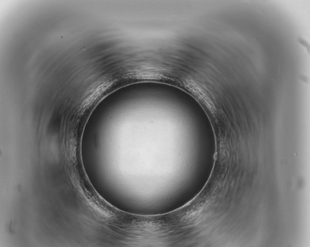 X0000095110533200712141154