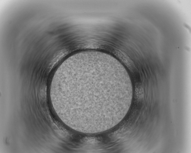 X0000095110534200712141154