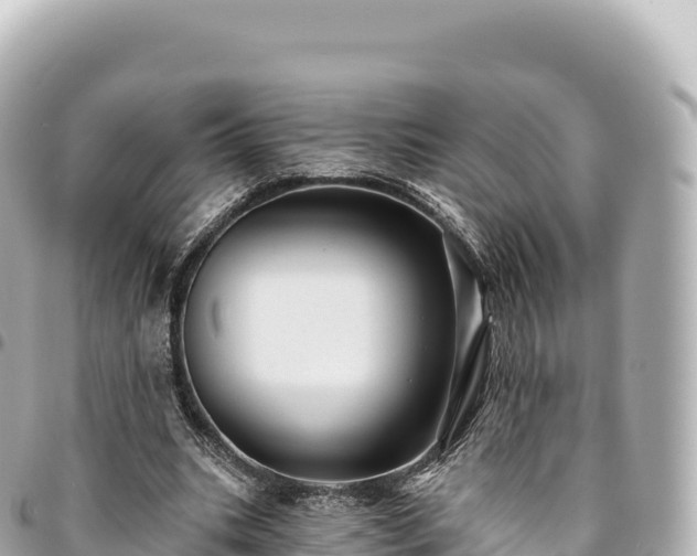 X0000095110535200712141154