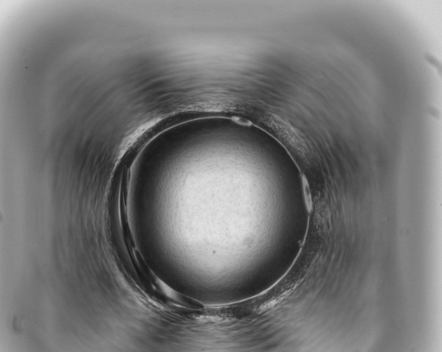 X0000095110536200712141154