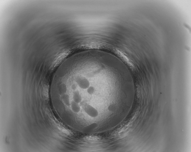 X0000095110537200712141154