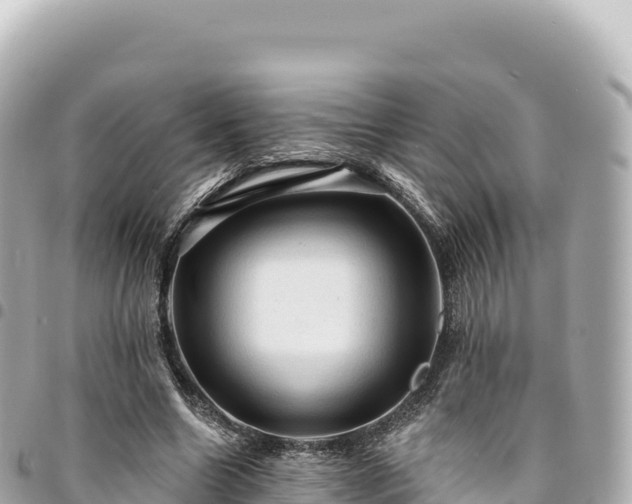 X0000095110538200712141154