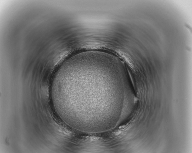 X0000095110539200712141154