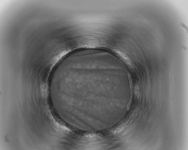 X0000095110540200712141154