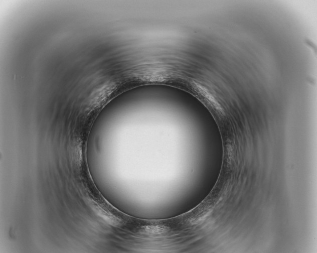 X0000095110541200712141154