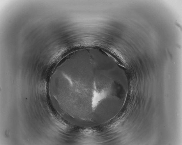 X0000095110542200712141154