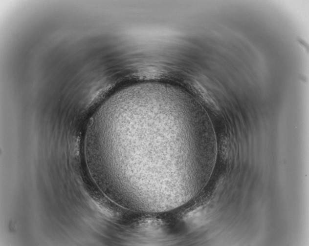 X0000095110543200712141154