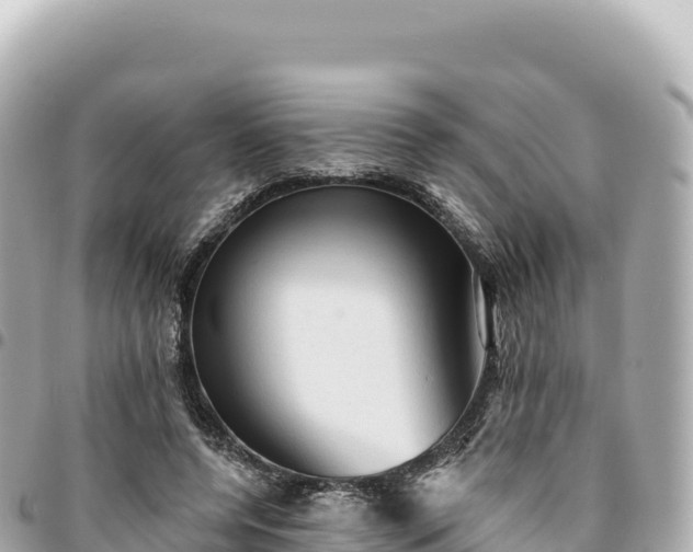 X0000095110544200712141154