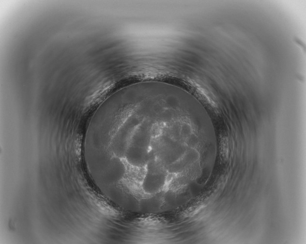 X0000095110545200712141154