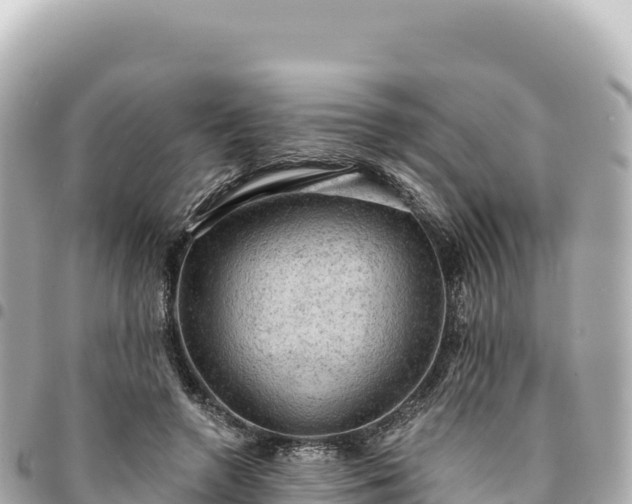 X0000095110546200712141154