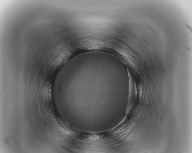 X0000095110547200712141154