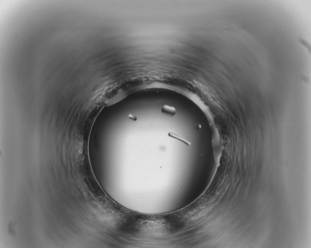 X0000095110548200712141154