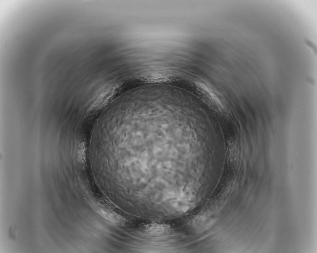 X0000095110549200712141154