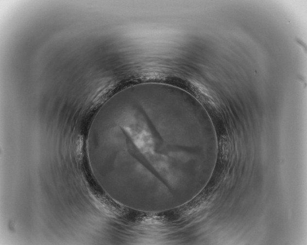 X0000095110550200712141154