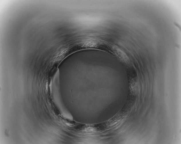 X0000095110551200712141154