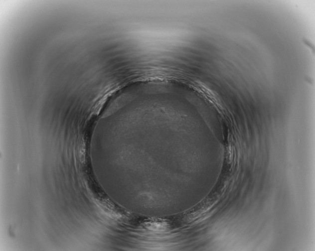 X0000095110552200712141154