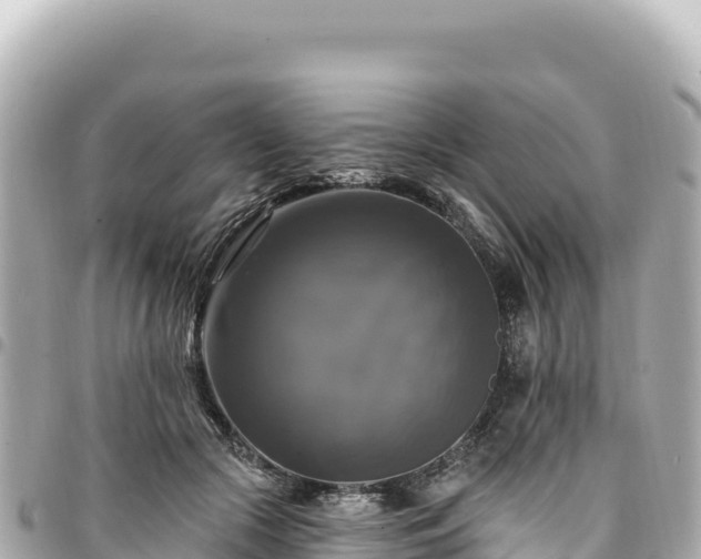 X0000095110553200712141154