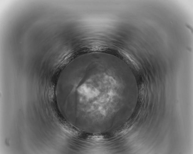 X0000095110554200712141154