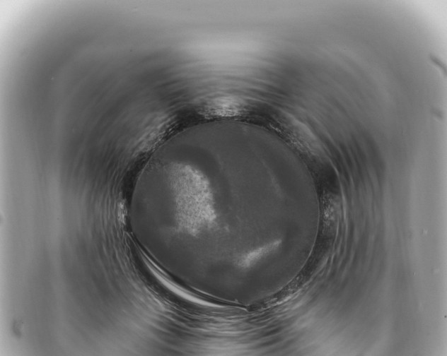 X0000095110555200712141154