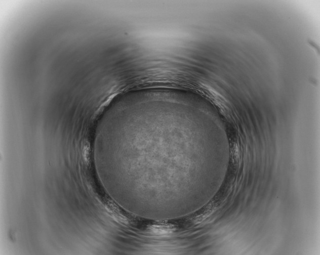 X0000095110556200712141154