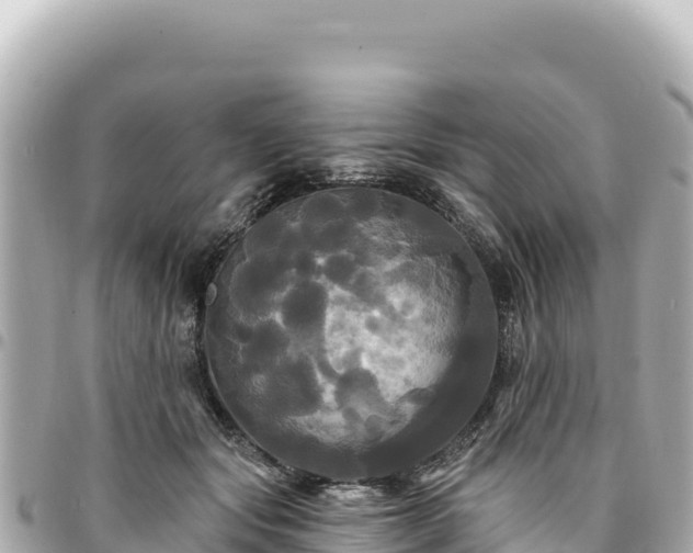 X0000095110557200712141154