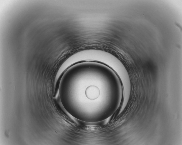 X0000095110558200712141154