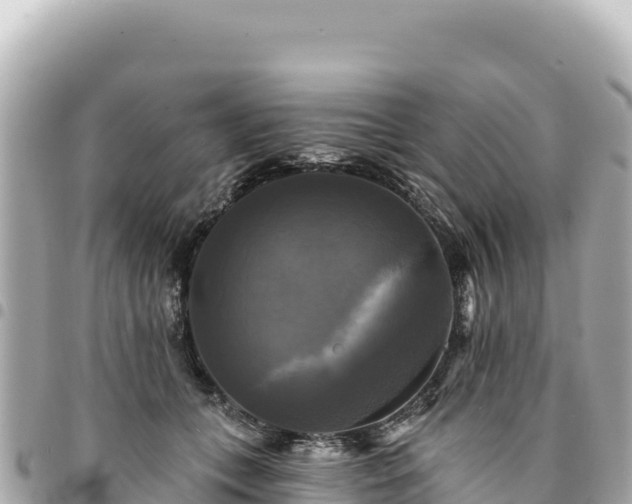 X0000095110559200712141154