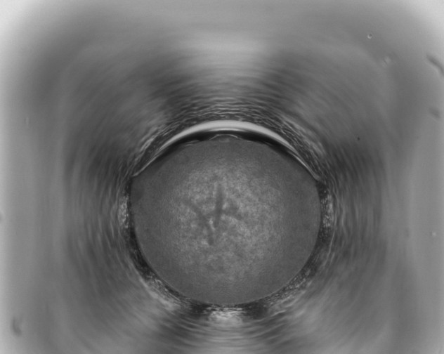 X0000095110560200712141154