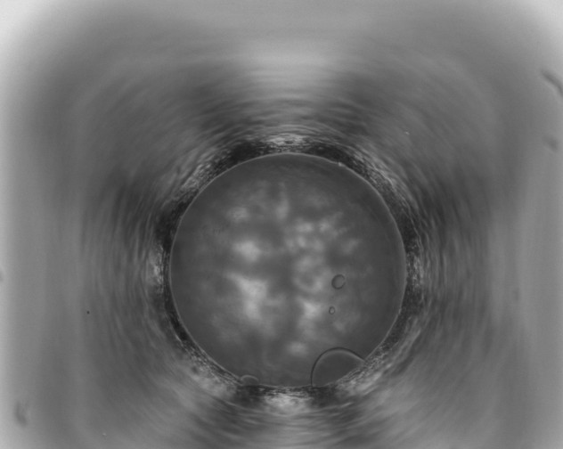 X0000095110561200712141154