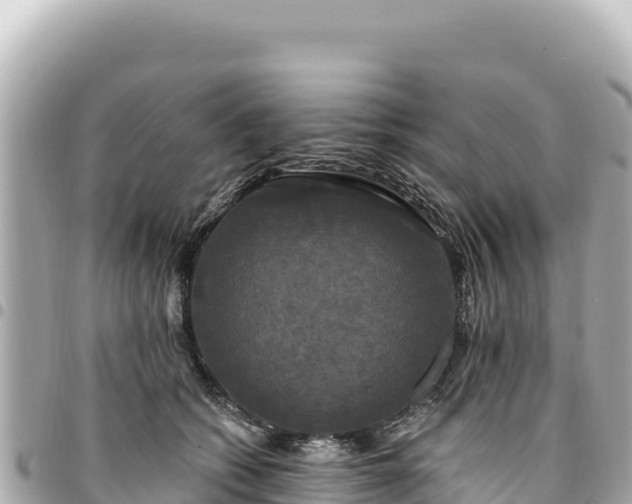 X0000095110562200712141154