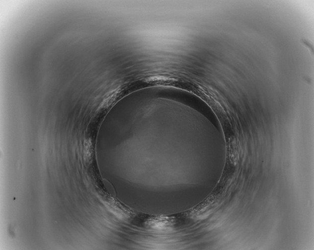 X0000095110563200712141154