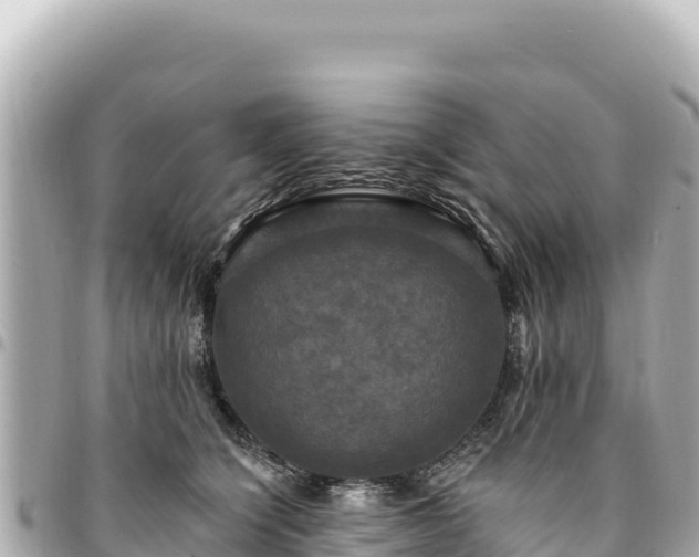 X0000095110564200712141154