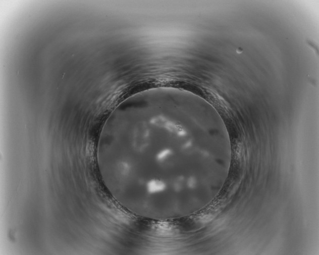 X0000095110565200712141154