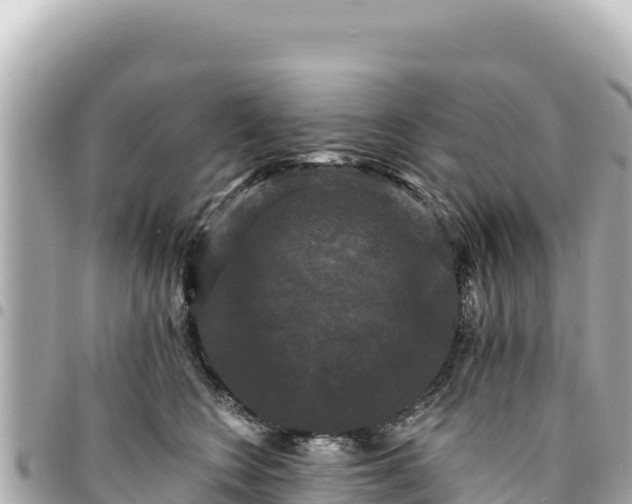 X0000095110566200712141154