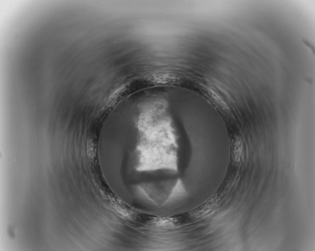 X0000095110569200712141155