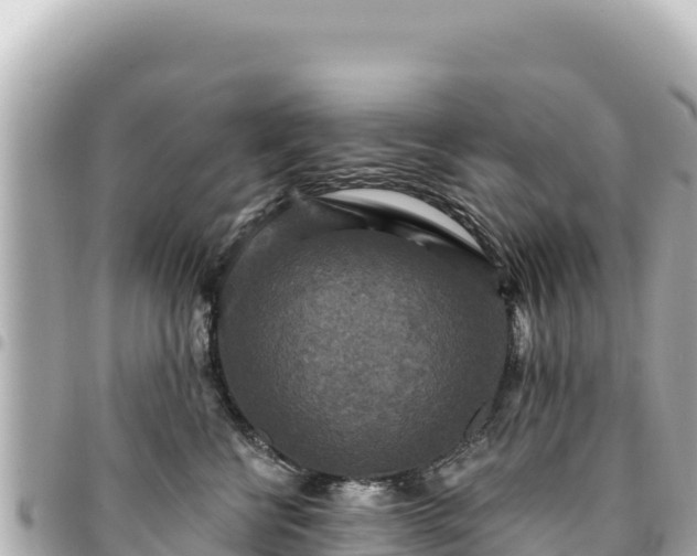 X0000095110570200712141155