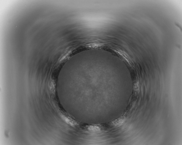 X0000095110572200712141155